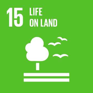 THE SUSTAINABLE DEVELOPMENT GOALS WE ARE CONTRIBUTING TO 14